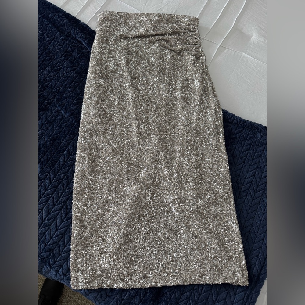 Express NWT sequin skirt, medium